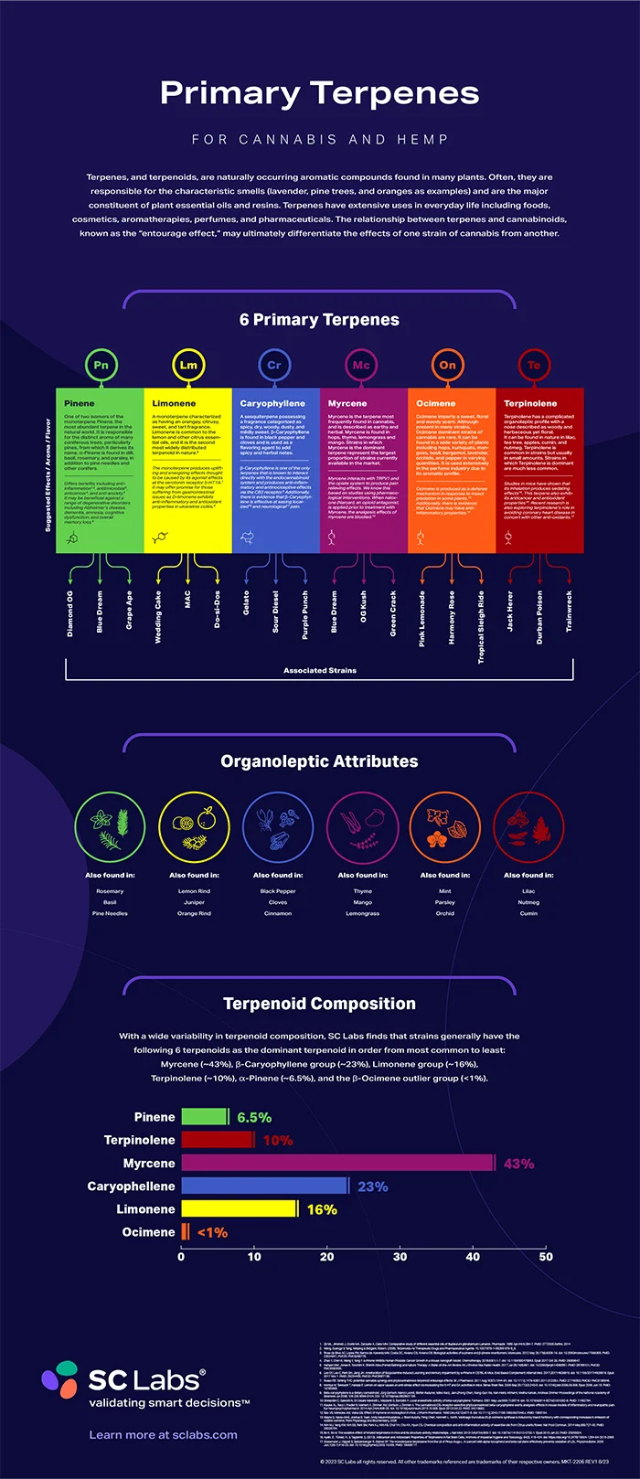 SC Labs Primary Terpenes Infographic Poster