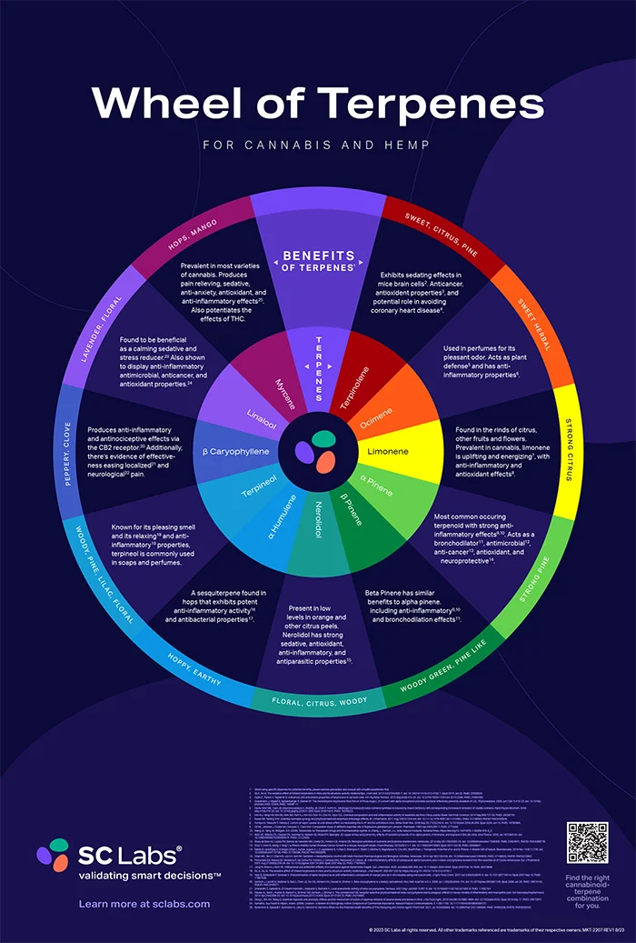 SC Labs Wheel of Terpenes Poster